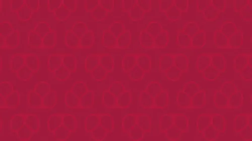 Salão da Lingerie Logo Animation